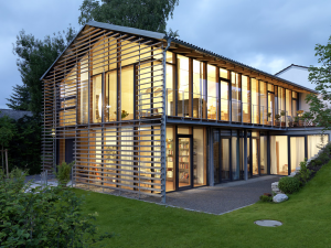 27952_hausdesjahres-2009-welsch1.jpg         